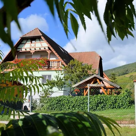Konukevi Au Jardin D'edel Centre Alsace