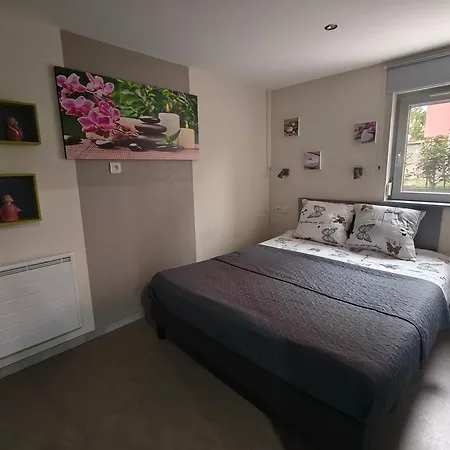 Au Jardin D'edel Centre Alsace 3*