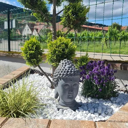 Konukevi Au Jardin D'edel Centre Alsace