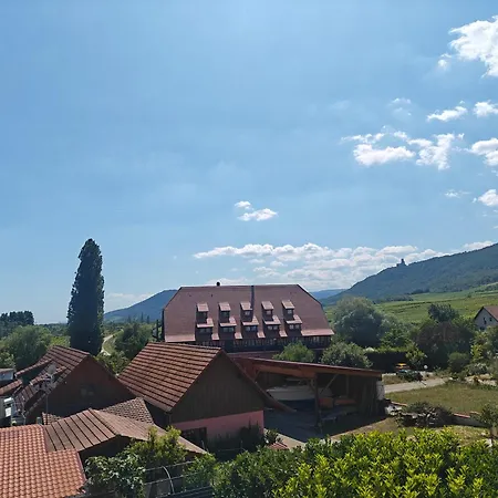 Au Jardin D'edel Centre Alsace 3*