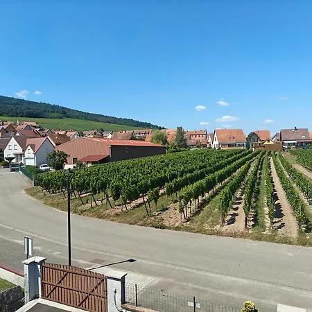 Pensjonat Au Jardin D'edel Centre Alsace