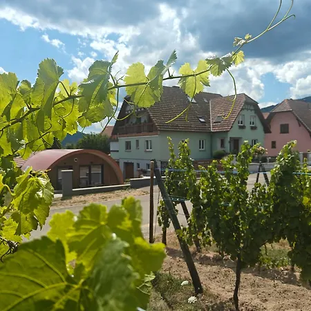 Au Jardin D'edel Centre Alsace Konukevi 3*
