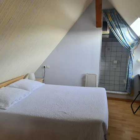 Konukevi Au Jardin D'edel Centre Alsace