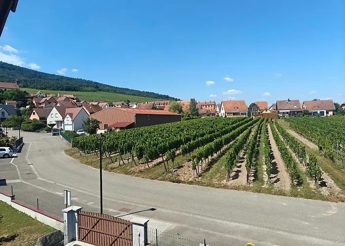 Gasthuis Au Jardin D'edel Centre Alsace