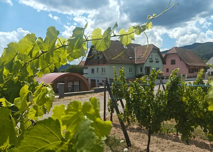 Au Jardin D'edel Centre Alsace Gasthuis 3*